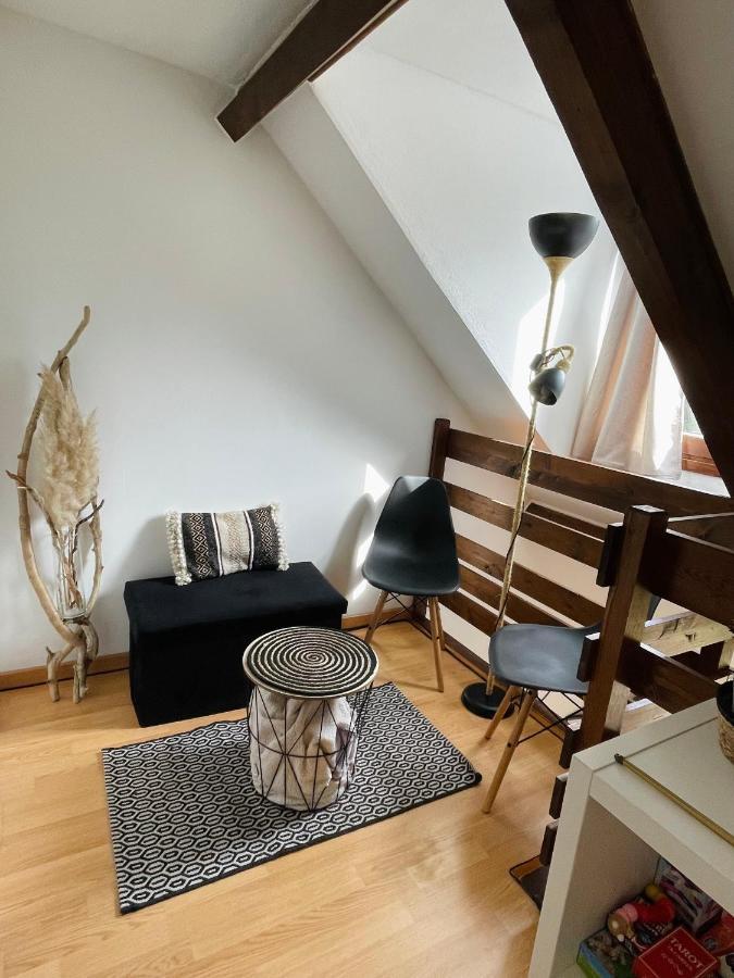 Duplex Du Pailhet, T3 Neuf, Vue Montagne, Parking, Navette Et 2 Velos A Disposition Gratuitement Bagneres-de-Luchon Bagian luar foto