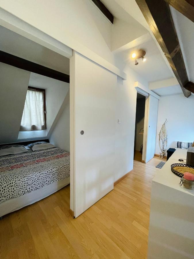 Duplex Du Pailhet, T3 Neuf, Vue Montagne, Parking, Navette Et 2 Velos A Disposition Gratuitement Bagneres-de-Luchon Bagian luar foto